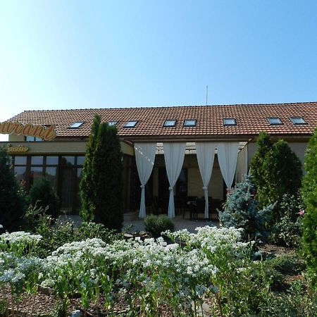 Anette Resort & Spa Covaci Zewnętrze zdjęcie