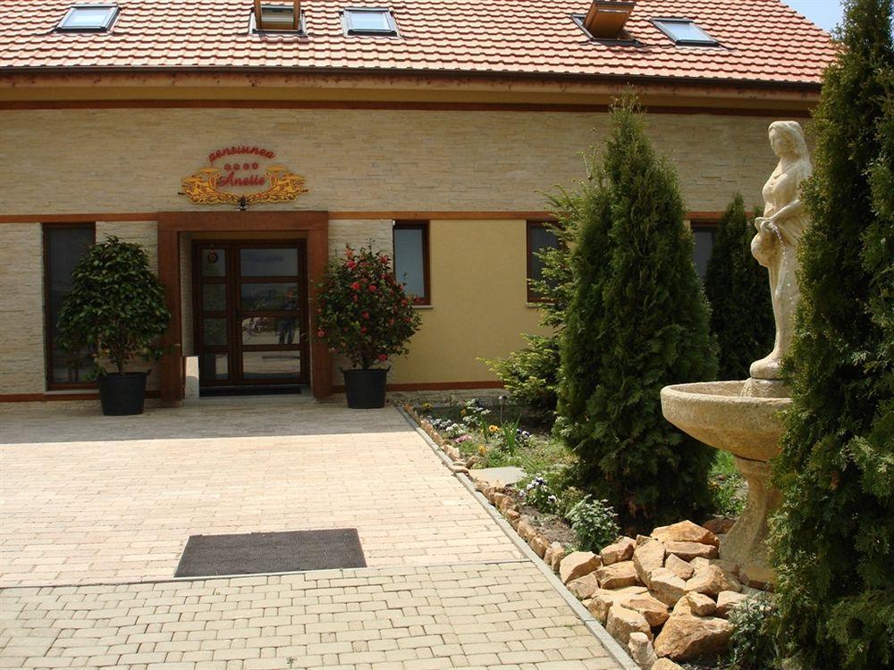 Anette Resort & Spa Covaci Zewnętrze zdjęcie